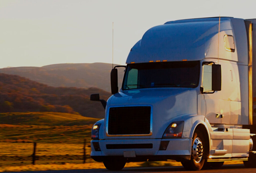 What are the requirements for becoming a professional truck driver?
